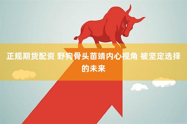 正规期货配资 野狗骨头苗靖内心视角 被坚定选择的未来